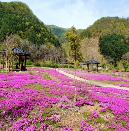 메인사진