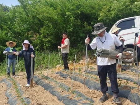 메인사진