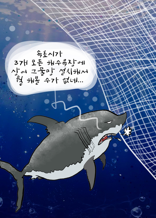 메인사진