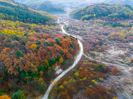 메인사진