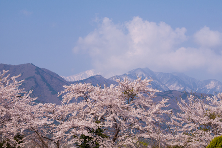 메인사진